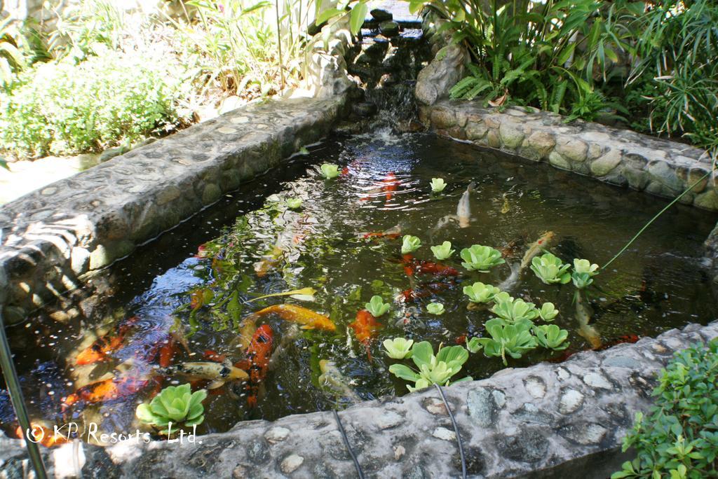 Enchanted Waters Tobago Buccoo Exterior photo